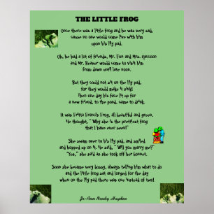 DE KLEINE FROG POSTER