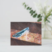 De kleine glazen glijper briefkaart (Staand voorkant)