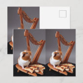De Kleine Harpist – Whimsicale Cavia Postkaart (Voorkant / Achterkant)