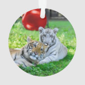 De kleine jongens - ornament (achterkant)