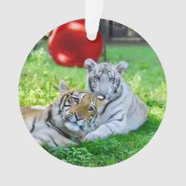 De kleine jongens - ornament