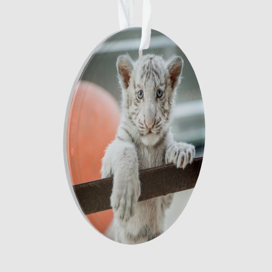 De kleine jongens - ornament (voorkant)