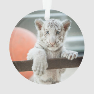 De kleine jongens - ornament