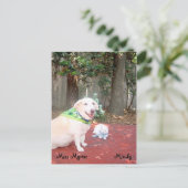 De kleine kat briefkaart (Staand voorkant)