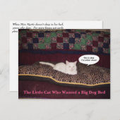 De kleine kat die een grote hond wilde. briefkaart (Voorkant / Achterkant)