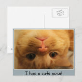 De kleine neus van Skippy Briefkaart (Voorkant / Achterkant)