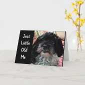 DE KLEINE OUDE MAN VRAAGT: HOE GAAT HET MET JE? KAART (Gele Bloem)