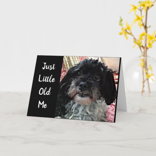 DE KLEINE OUDE MAN VRAAGT: HOE GAAT HET MET JE? KAART (Gele Bloem)