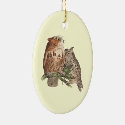 De kleine schreeuwerige uil (Bubo asio) Keramisch Ornament (Rechts)