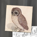 De kleine struik | Albrecht Dürer Magneet<br><div class="desc">De kleine uil (1506) | De kleine uil (circa 1508) van Albrecht Dürer is een fijn uitgewerkt waterverf- en gouacheschilderij met een levensechte afbeelding van een kleine uil op een oppervlak. De uitzonderlijke aandacht voor detail van Dürer legt de getextureerde veren en alerte expressie van de vogel vast, tegen een...</div>