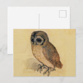 De kleine uil Albrecht Dürer Briefkaart (Voorkant / Achterkant)