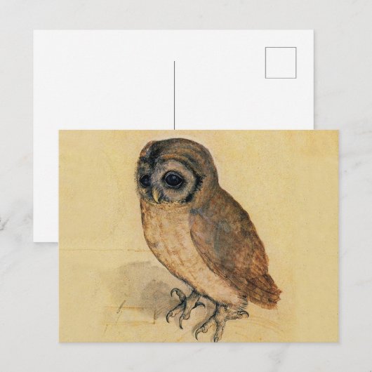 De kleine uil Albrecht Dürer Briefkaart (Voorkant / Achterkant)