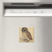 De Kleine Uil (door Albrecht Durer) Magneet (Insitu (Vaatwasser))