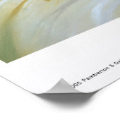 De kleine visser poster (Hoek)