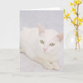 De kleine witte kat kaart (Gele Bloem)