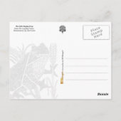 De kleine zingkikker briefkaart (Achterkant)