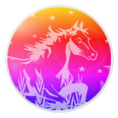 De kleine zoete pony, regenboogkleuren keramische knop (Voorkant)