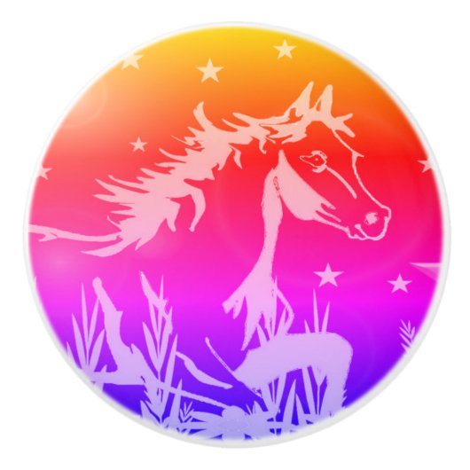 De kleine zoete pony, regenboogkleuren keramische knop (Voorkant)