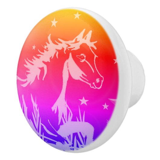 De kleine zoete pony, regenboogkleuren keramische knop (Rechts)