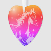 De kleine zoete pony, regenboogkleuren ornament (voorkant)
