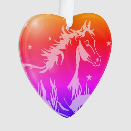 De kleine zoete pony, regenboogkleuren ornament (voorkant)