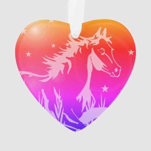 De kleine zoete pony, regenboogkleuren ornament (achterkant)