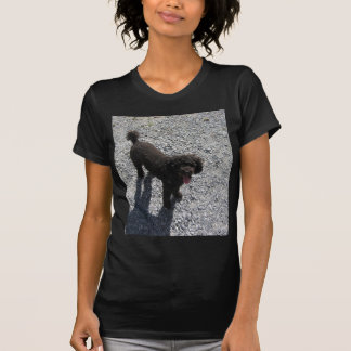 De kleine zwarte poel t-shirt