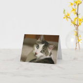 De kleinste Kaarten van de Nota van de Tijger (Gele Bloem)