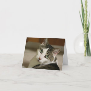 De kleinste Kaarten van de Nota van de Tijger