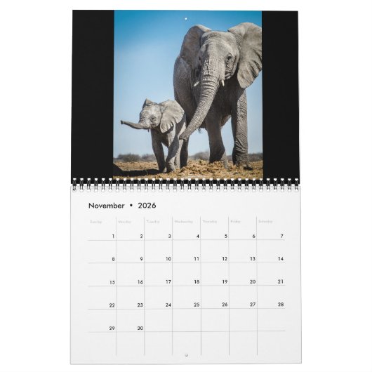 De kleinste reuzen kalender (Nov 2026)