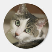 De kleinste tijger Button Magneet (Voorkant)