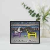 De kleinste waarneming is een sterstuk briefkaart (Staand voorkant)