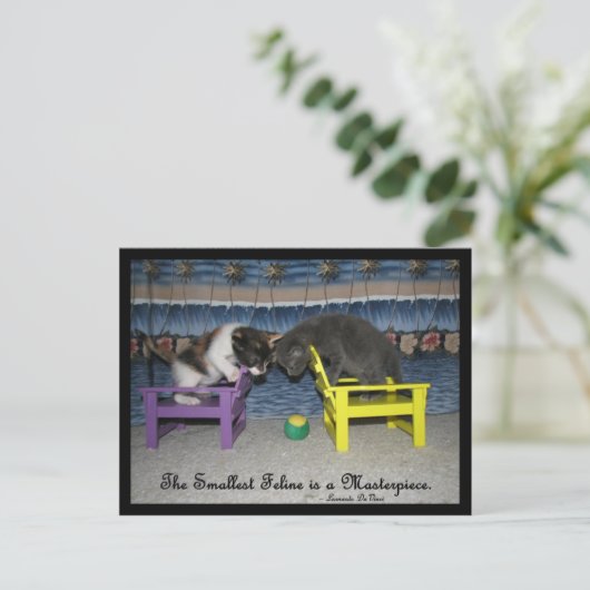 De kleinste waarneming is een sterstuk briefkaart (Staand voorkant)