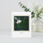 De kleren briefkaart (Staand voorkant)