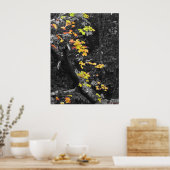 De kleur van de Herfst Poster (Keuken)