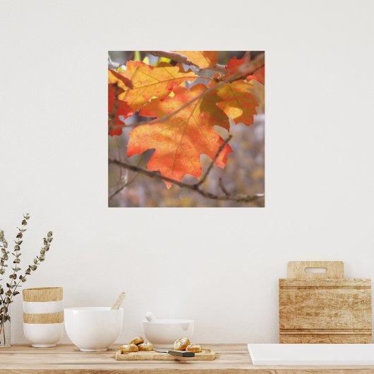 De kleur van het najaar Poster (Keuken)