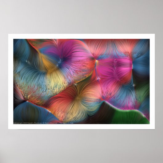 De kleuren in het haar poster (Voorkant)