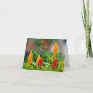 De Kleuren Notecard van de zon Kaart