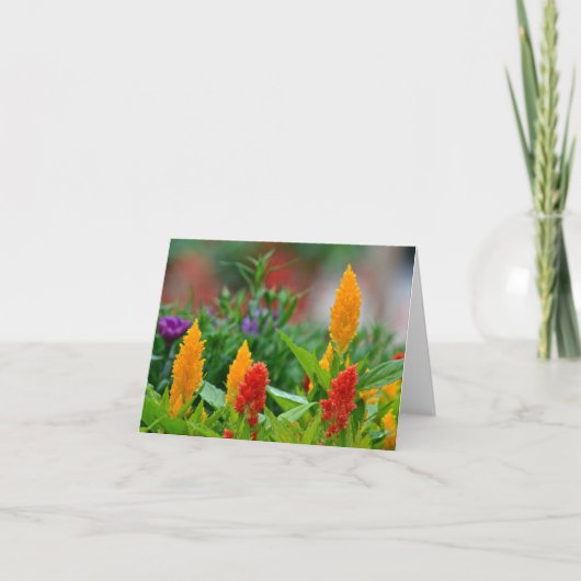 De Kleuren Notecard van de zon Kaart (Voorkant)