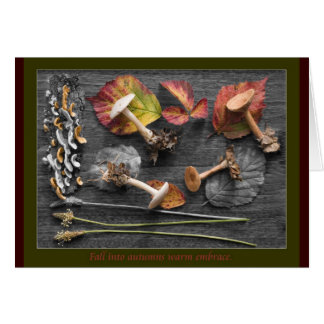 De kleuren van de Herfst