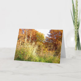 De Kleuren van de herfst bij het Eiken Park van Kaart