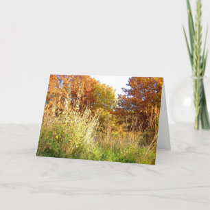 De Kleuren van de herfst bij het Eiken Park van Kaart