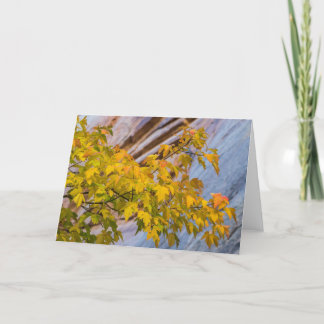 De Kleuren van de herfst Kaart