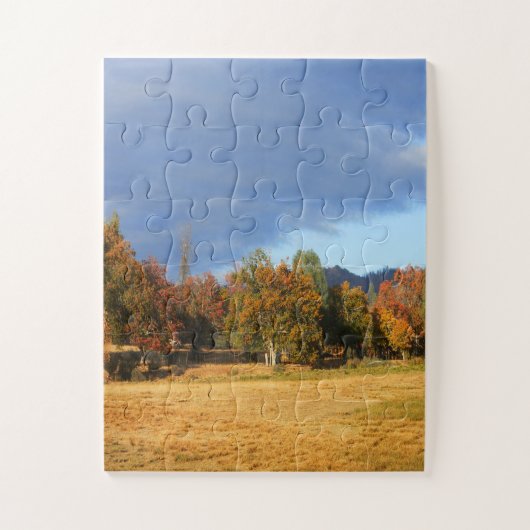 De kleuren van de Herfst.... Legpuzzel (Verticaal)