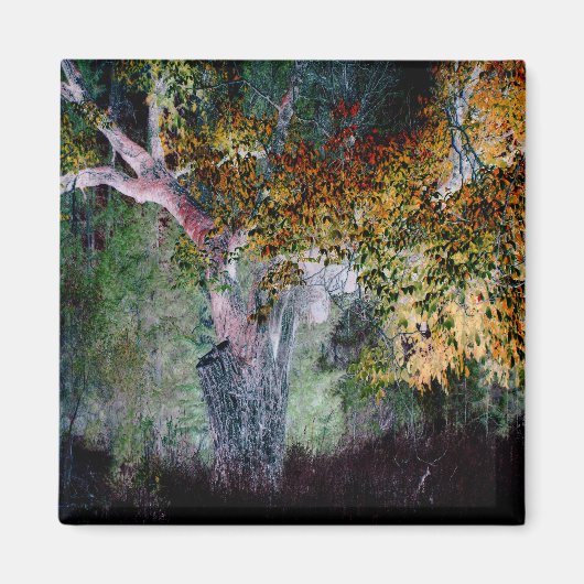 De kleuren van de Herfst.... Magneet (Voorkant)