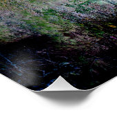 De kleuren van de Herfst.... Poster (Hoek)