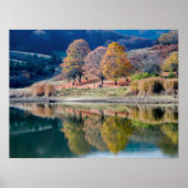 De kleuren van de herfst poster (Voorkant)