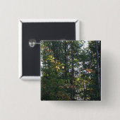 De kleuren van de herfstbomen vierkante button 5,1 cm (Voorkant /achterkant)