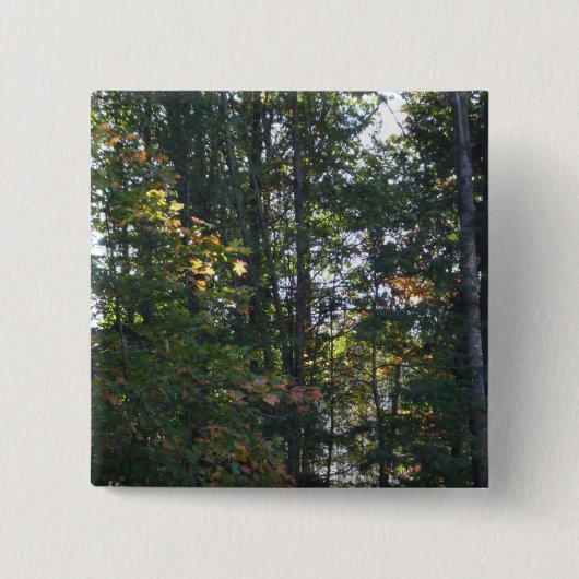 De kleuren van de herfstbomen vierkante button 5,1 cm (Voorkant)