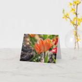 De kleuren van de Kaarten van de Nota van de Lente (Gele Bloem)